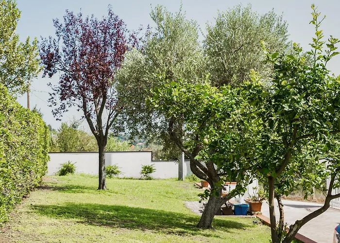 Il Segreto Dei Viaggiatori - Berlin * Ortona