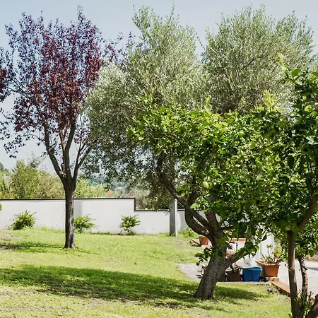 Il Segreto Dei Viaggiatori - Berlin * Ortona